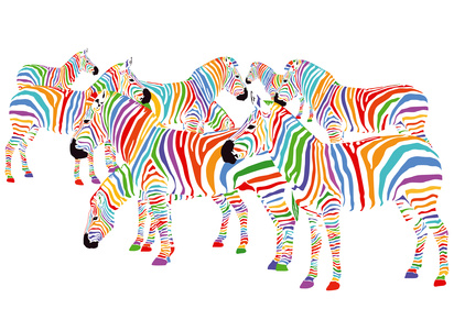 Farbenfrohe Zebras