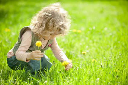 Beautiful child picks flowers