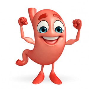 Cartoon Character of stomach with bodybuilding