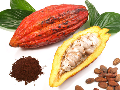 Kakaobohnen in der Frucht