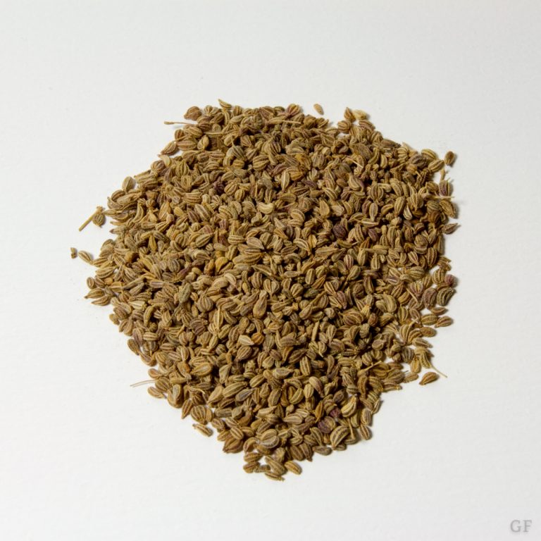 Ajowan VORSICHT GESUND