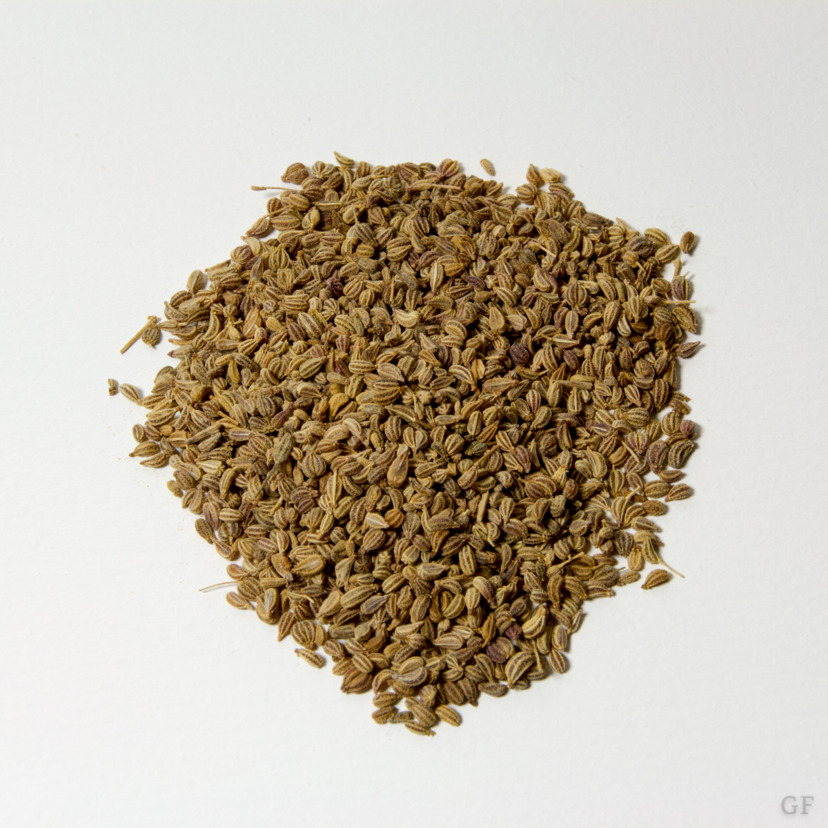 Ajowan VORSICHT GESUND